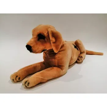 plyšák Plyšový pes Labrador zlatý ležící 69cm (Hebký mazlíček - plyšová hračka)