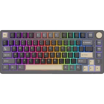 Klávesnice MECHANICKÁ KLÁVESNICE RK M75 80% Bezdrátová 2,4G Hot Swap Phantom Silver