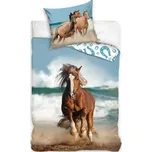 BedTex • Bavlněné ložní povlečení Kůň na pobřeží - 100% bavlna Renforcé - 70x90 cm + 140x200 cm