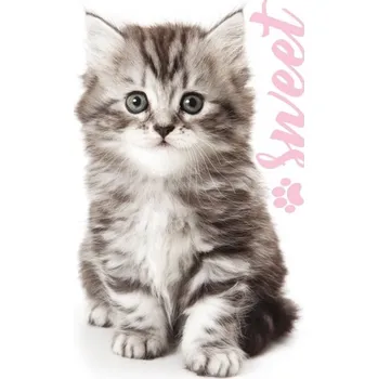 Carbotex • Ručník na ruce, či na obličej s motivem Sladké koťátko - 100% bavlna s gramáží 350 gr./m² - 30 x 50 cm