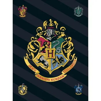 Dětská deka Javoli • Fleecová deka Harry Potter s erbem čarodějnické školy v Bradavicích