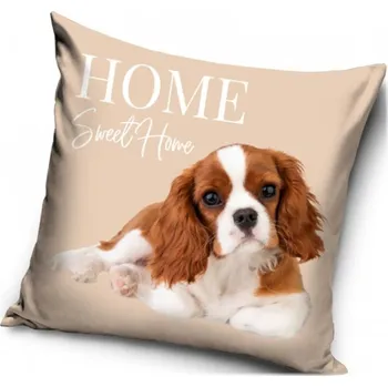 Carbotex • Dekorační polštář Kavalír King Charles španěl - 40 x 40 cm