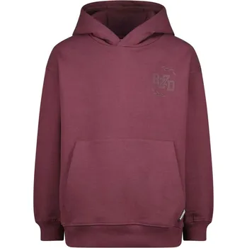 Chlapecká mikina RAIZZED® Bordeaux 8819298 128
