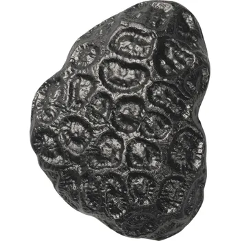 Věšák Ferm Living, Háček na zeď Comber Coral černý - Formadore