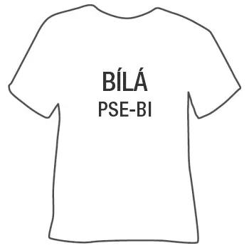 Kancelářská technika SEMIŠOVÉ nažehlovací folie POLI-TAPE CRAFT .: BÍLÁ