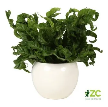 Květináč Obal 510 Panna 26 cm