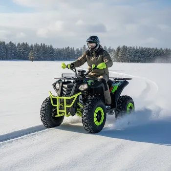 Auto-moto Leramotors By Apollo RFZ 250 zelená