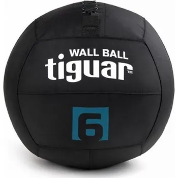 Nástěnný míč Tiguar Tiguar 6 kg