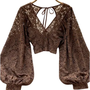 Dámská halenka Dámská poloprůhledná halenka Univerzální velikost Výstřih do V Dlouhý rukáv Řasení Zavazování za krkem hnědá