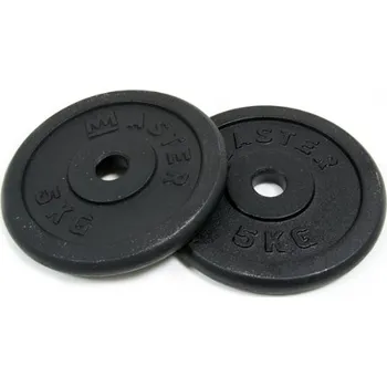 Kotouč MASTER 5 kg kov (pár)