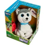 Hafíci II. Maxík - Husky CZ