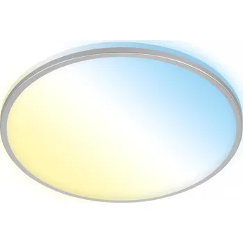 Briloner 3064-014- LED Stm stropní svítidlo IVY 24W/230V Wi-Fi Tuya pr.33,3cm+DO