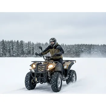 čtyřkolka Leramotors Čtyřkolka Leramotors by APOLLO Magnum RFZ 250 T3B - Camo - 250cc