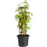 Obal Green Basics Tomato Pot - living black 33 cm