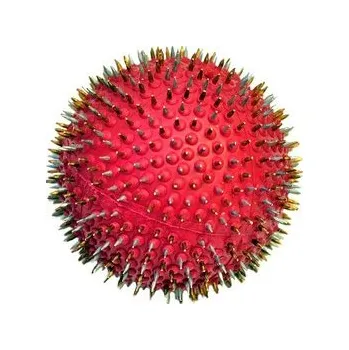 Masáž Masážní jehlový míček Ljapko