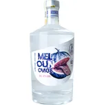 Palírna Kuželov (U větrného mlýna) Horňácká Melounovice 47% 0,5l