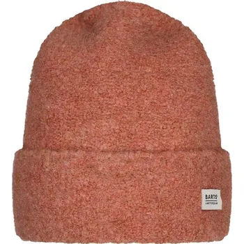 Oblečení a móda Čepice Barts Orange 2445833 onesize