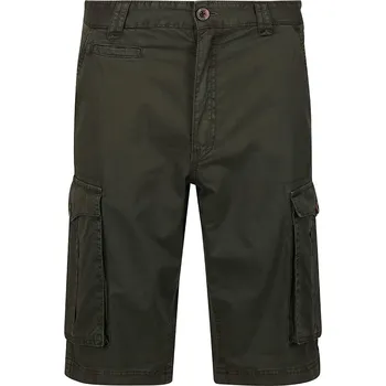 Pánské kraťasy Kraťasy Regatta Khaki 1748167 54