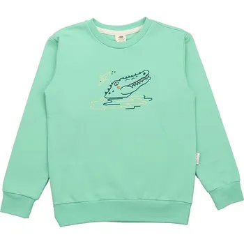 Chlapecká mikina Walkiddy Grün 2151119 110