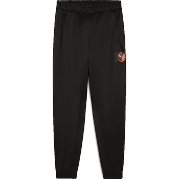 Puma Schwarz 3431133 176