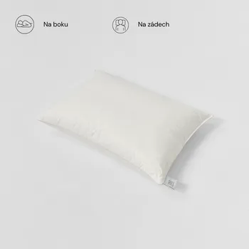 Polštář MARIELI Péřový polštář z prachového peří, střední Velikost polštáře: 40 x 40 cm