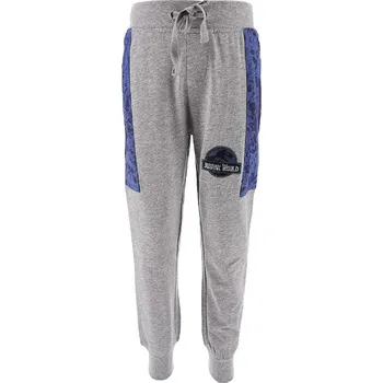 Jurassic World Grau 7703563 98