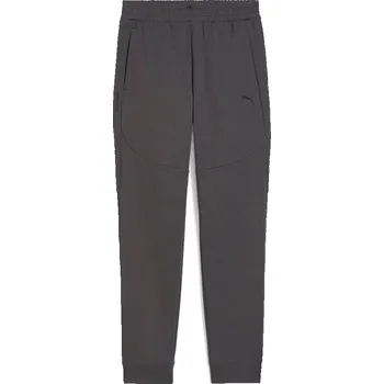 Tepláky Puma Anthrazit 888347 M