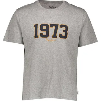 Tričko Pepe Jeans Grau 9946259 XS