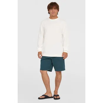 Pánské kraťasy Kraťasy O'Neill Türkis 2065046 38