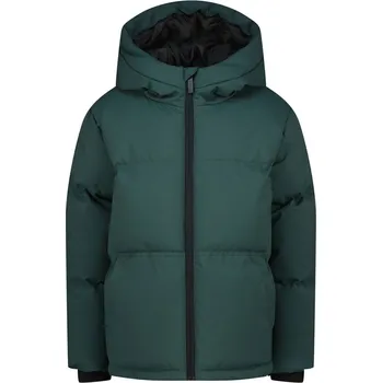 Chlapecká bunda RAIZZED® Dunkelgrün 9887649 176