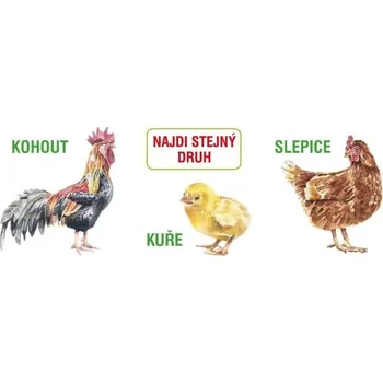 Hračka pro nejmenší Najdi stejný druh