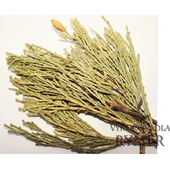 Čajovna Cedar kadidlový (vykuřovadlo)