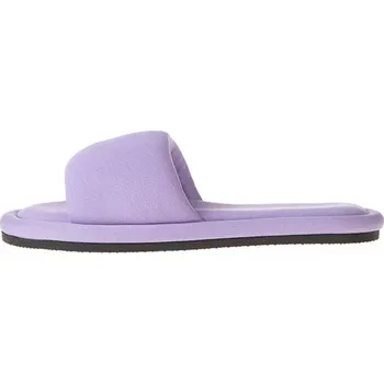 Pánské pantofle Boty Pangaia Lila 240207 43