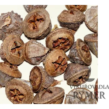 Čajovna Eukalyptus - plod (vykuřovadlo)