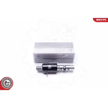 Ventil motoru Řídicí ventil, seřízení vačkového hřídele ESEN SKV 39SKV025