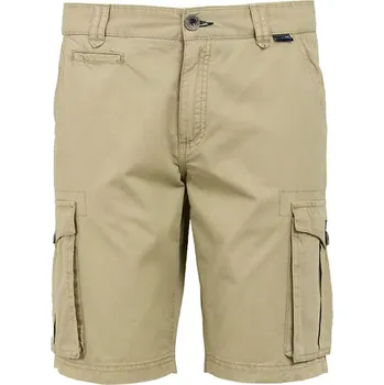 Pánské kraťasy Kraťasy Regatta Beige 9039864 52
