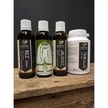 Rabštejnská apatyka Bylinná kúra na odvodnění a očistu těla