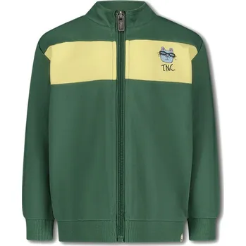 Chlapecká mikina The New Chapter Grün 3209348 116