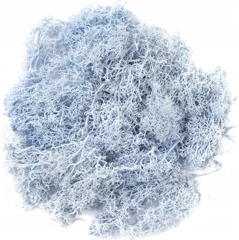 Obraz Dekorativní mech MODRÝ 30 g. bytová dekorace, floristika, scrapbooking