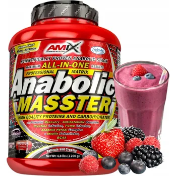 Protein GAINERY PRO NABRÁNÍ HMOTY CFM Protein Kreatin Sacharidy AMIX ANABOLIC MASSTER Lesní Ovoce
