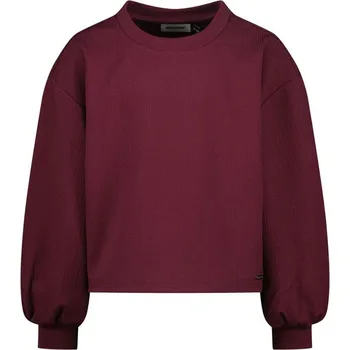 Dívčí mikina RAIZZED® Aubergine 599629 176