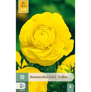 Zahradní nábytek Pryskyřník Yellow (10 cibulí) Ranunculus