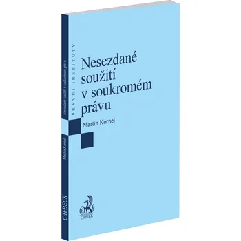 Nesezdané soužití v soukromém právu
