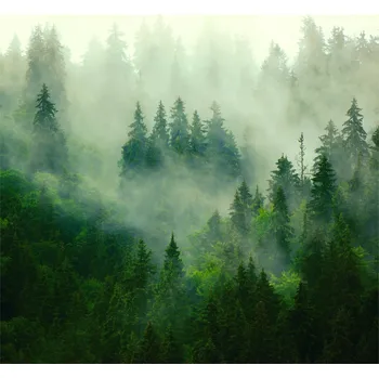 Fototapeta Fototapeta NA MÍRU Les v mlze Ložnice Obývací pokoj