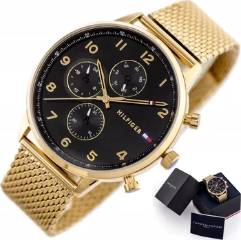 Hodinky Tommy Hilfiger pánské hodinky Leonard