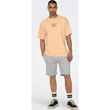 Pánské kraťasy Kraťasy ONLY & SONS Grau 2188625 M