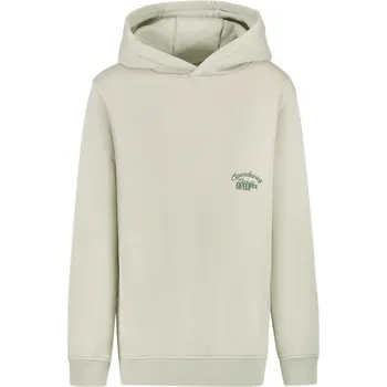 Chlapecká mikina Cars 2777230 176