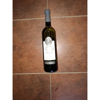 Víno Šlechtitelská stanice Vinařská 0103 | Veltlínské zelené 2017 archivní - 118