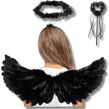 Karnevalový kostým Černá Andělská Křídla Pírka Ples Maškarní Halloween Karneval Svatozář