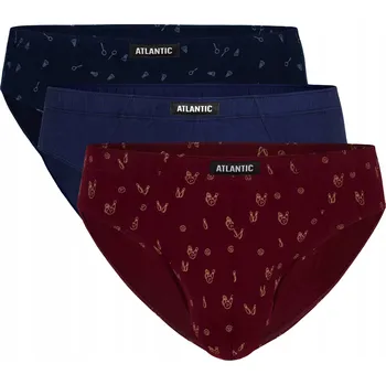 Slipy Pánské slipy ATLANTIC 3MP-100 w2 bavlna 3 ks (3PAK) M
